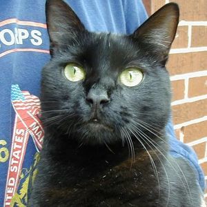 Meet your Posher, Cheryl